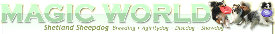 MAGIC WORLD - SHELTIE WORLD