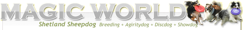 MAGIC WORLD - SHOP